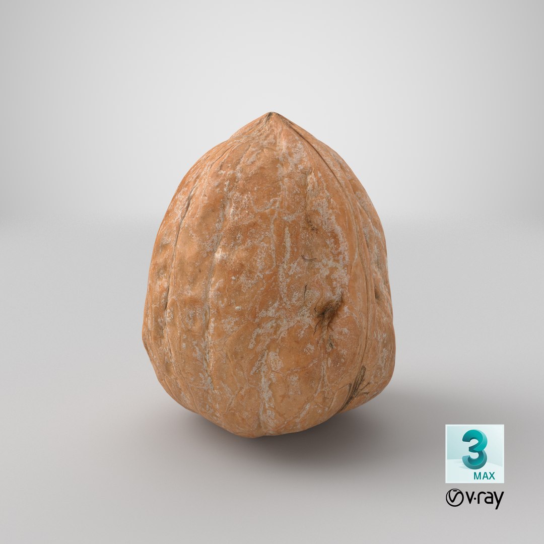 3D Walnut Shell https://p.turbosquid.com/ts-thumb/78/daeAtf/pZ/stemcell_max_vray_render/png/1668753012/1920x1080/fit_q87/63b83d8029cccb26f8dcc6b419ee658155e161a5/stemcell_max_vray_render.jpg