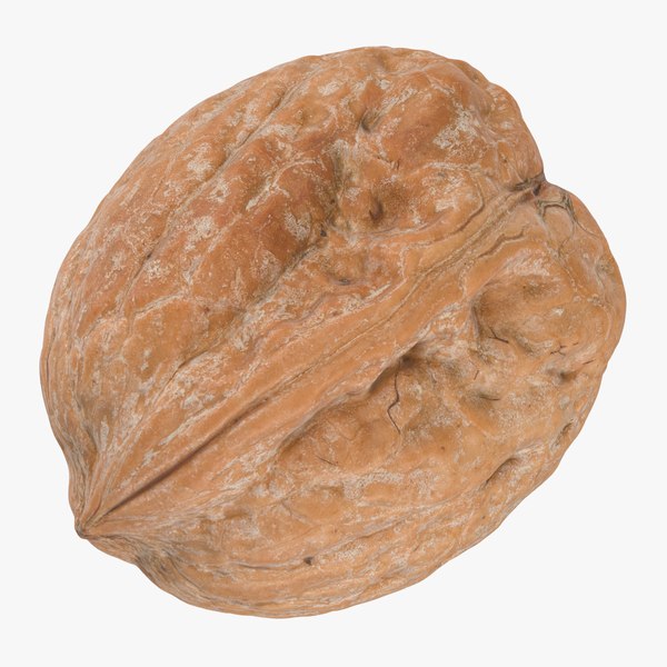 3D Walnut Shell