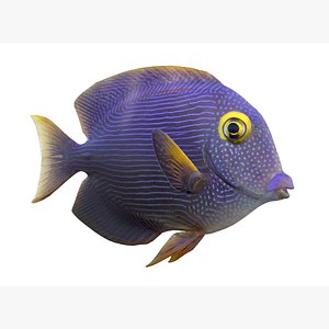 Kole Tang Fish