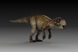 plant-eating Dinosaur Psittacosaurus