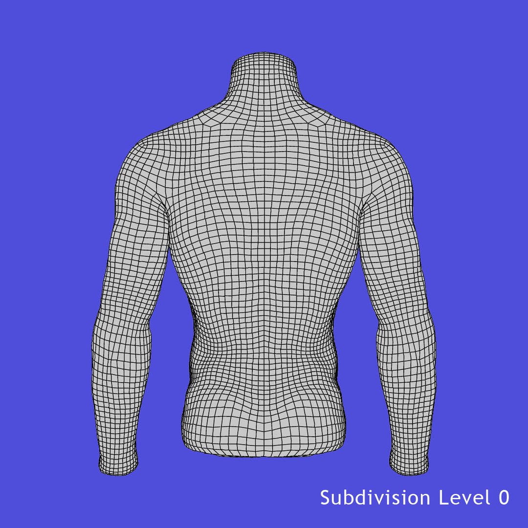 3d Model Male Mannequin Torso