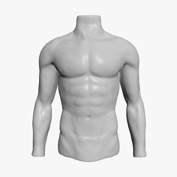 3d model male mannequin torso