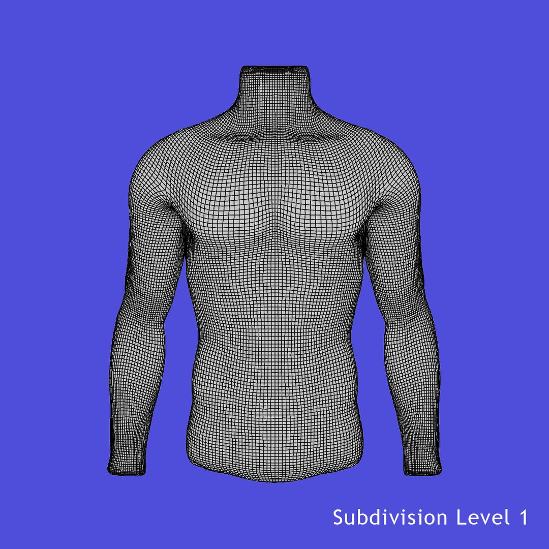 3d Model Male Mannequin Torso