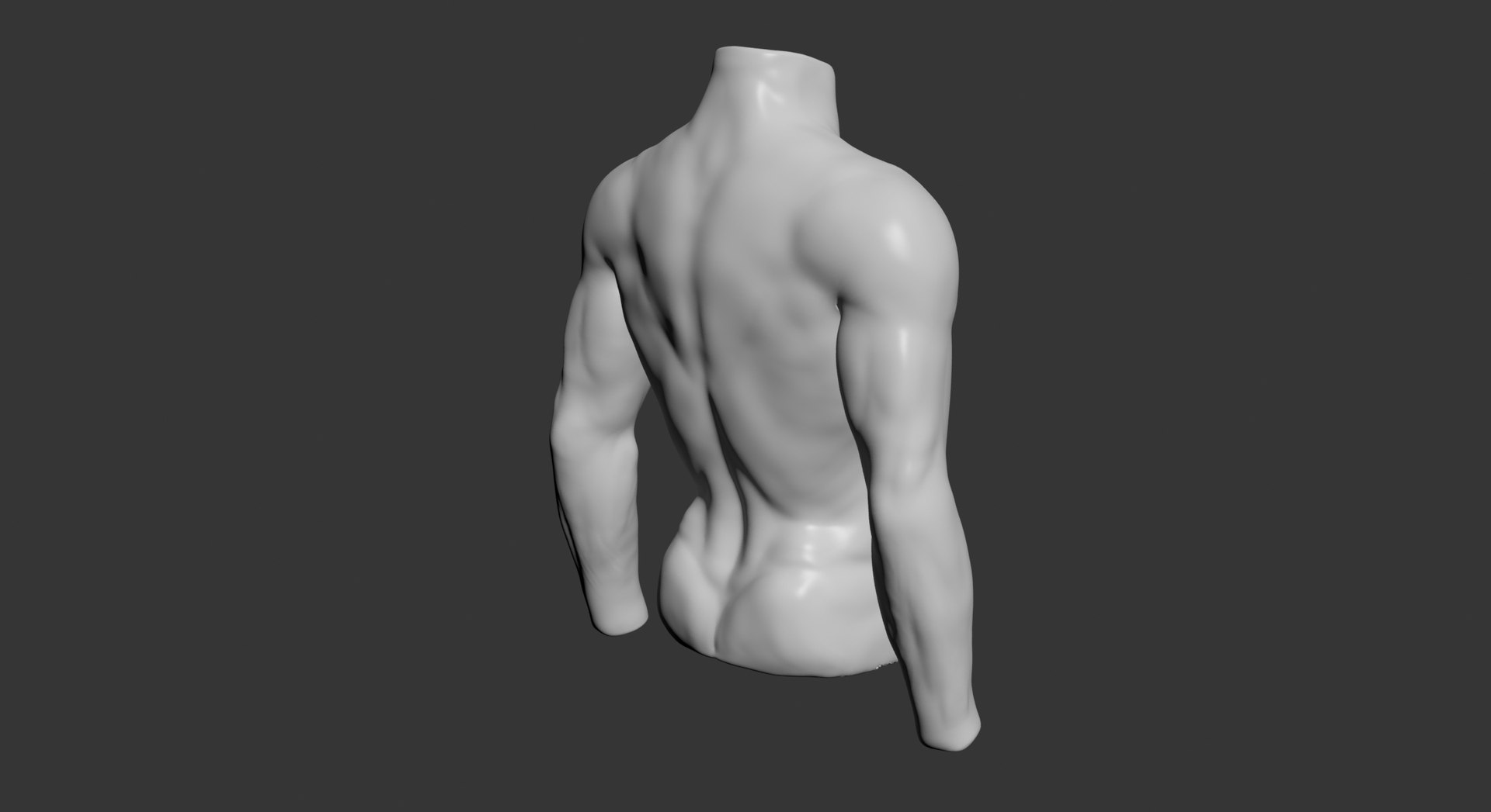3d Model Male Mannequin Torso