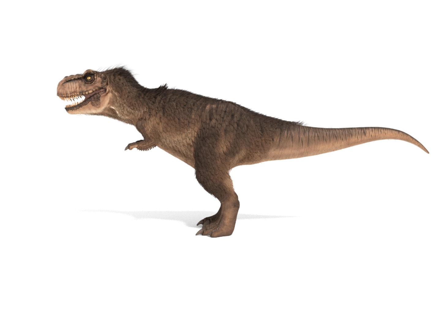 tyrannosaurus rex fur rigged model https://p.turbosquid.com/ts-thumb/79/3gFYam/7JzAcMGh/img/jpg/1591798695/1920x1080/turn_fit_q99/5d53f010af8c9b86db4e0d426bc2663231b7cdb3/img-1.jpg