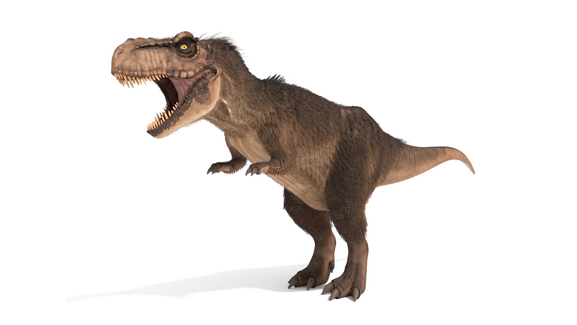 tyrannosaurus rex fur rigged model https://p.turbosquid.com/ts-thumb/79/3gFYam/7n/img_4/jpg/1624629957/1920x1080/fit_q87/0bd7c288ac0dbd83c03bf6977ad6e3ba4f4ec8f3/img_4.jpg