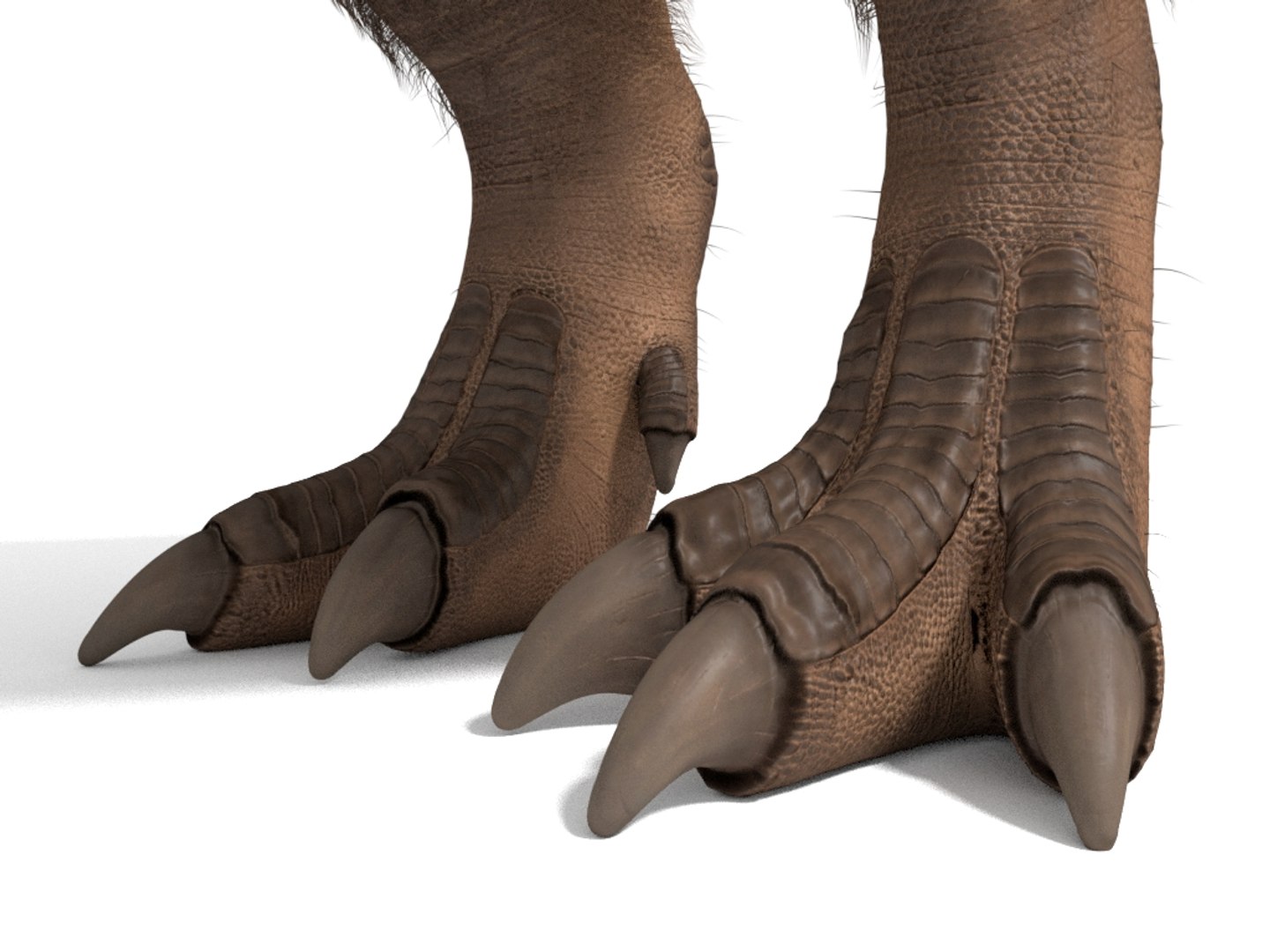 tyrannosaurus rex fur rigged model https://p.turbosquid.com/ts-thumb/79/3gFYam/Qv/img_12/jpg/1624629958/1920x1080/fit_q87/31c51a4d280b50cfff1307157fab7b18d67035bf/img_12.jpg