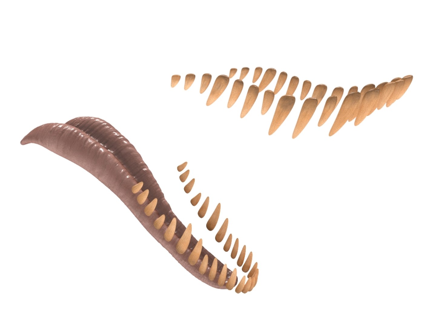 tyrannosaurus rex fur rigged model https://p.turbosquid.com/ts-thumb/79/3gFYam/Rt/img_21/jpg/1624629953/1920x1080/fit_q87/f4583f19c6df3581c6776ea1c343cd099f9d59d9/img_21.jpg