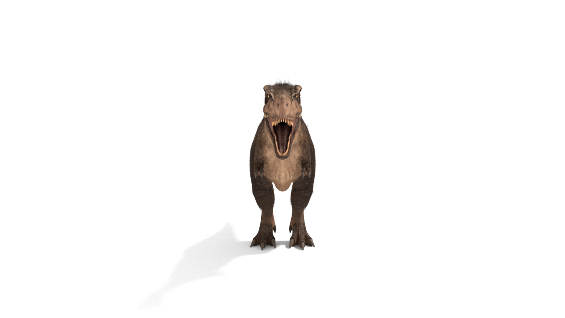 tyrannosaurus rex fur rigged model https://p.turbosquid.com/ts-thumb/79/3gFYam/TA/img/jpg/1624630065/1920x1080/turn_fit_q99/c2c5940b19f84a0e54fd1a605da047c4645da1b4/img-1.jpg