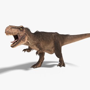 tyrannosaurus rex fur rigged model