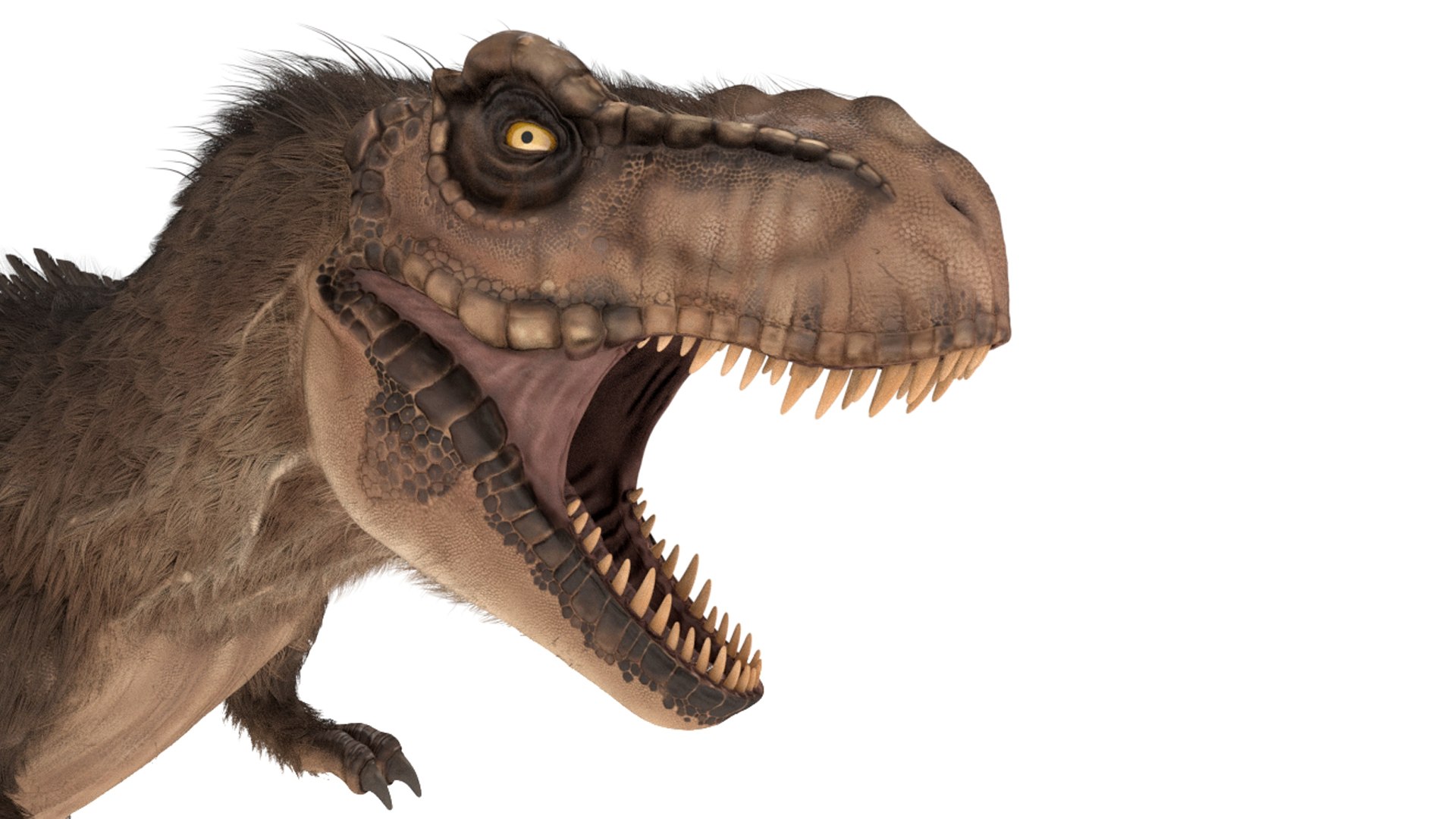 tyrannosaurus rex fur rigged model https://p.turbosquid.com/ts-thumb/79/3gFYam/gK/img_8/jpg/1624629965/1920x1080/fit_q87/a0f0bd0bf620fa181fe8cd69f1e190d1c8983268/img_8.jpg