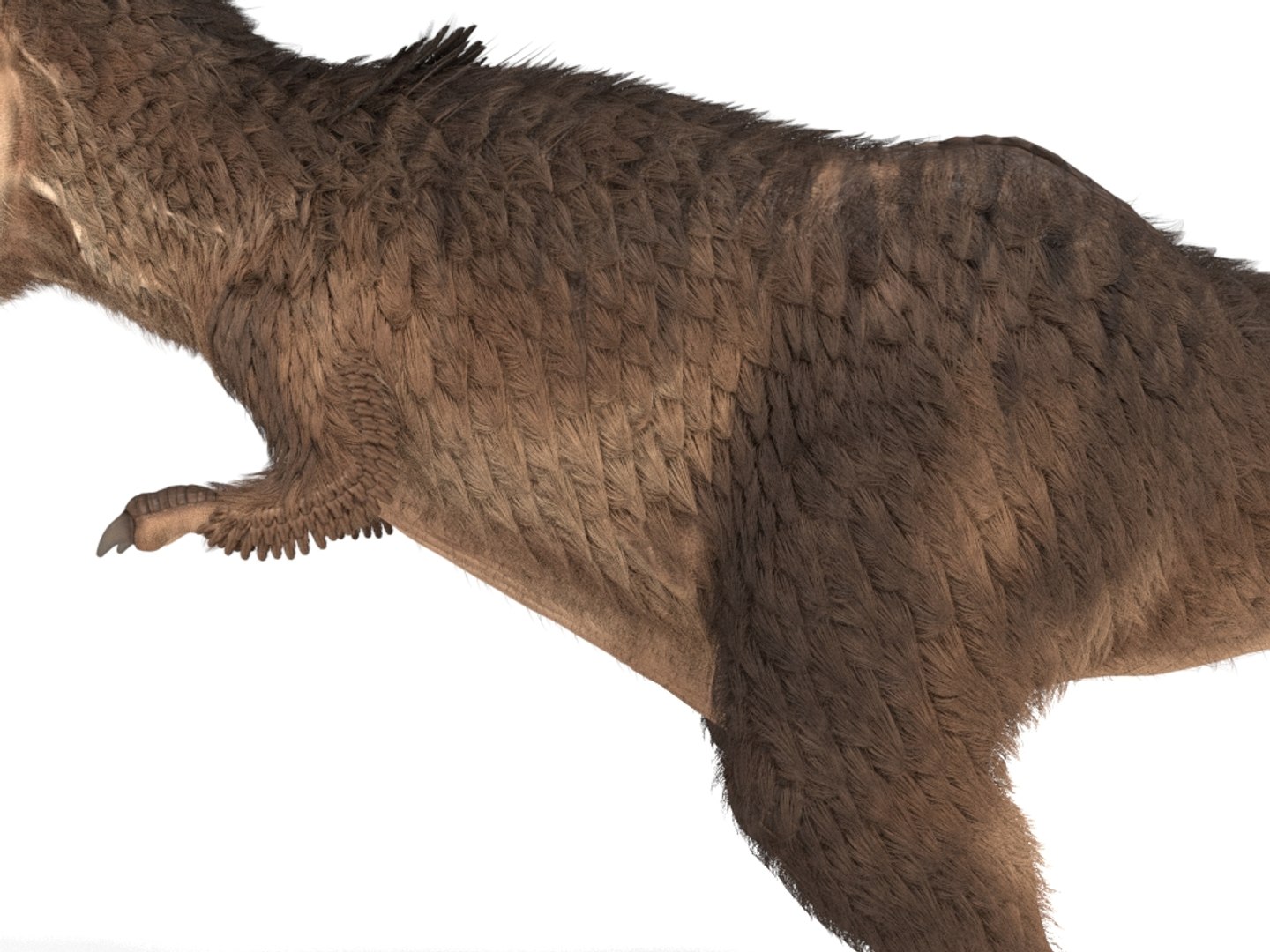 tyrannosaurus rex fur rigged model https://p.turbosquid.com/ts-thumb/79/3gFYam/iZ/img_17/jpg/1624629964/1920x1080/fit_q87/e6bd45514ee5e2b0a017cad37573dc2e97c2ab3c/img_17.jpg
