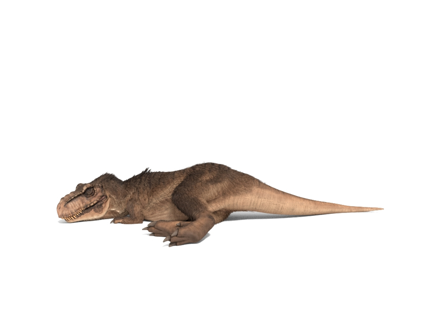 tyrannosaurus rex fur rigged model https://p.turbosquid.com/ts-thumb/79/3gFYam/vSNipd2p/img/jpg/1591798757/1920x1080/turn_fit_q99/7b24a5bdccee35d5413b75c3338360e1d4b065d3/img-1.jpg