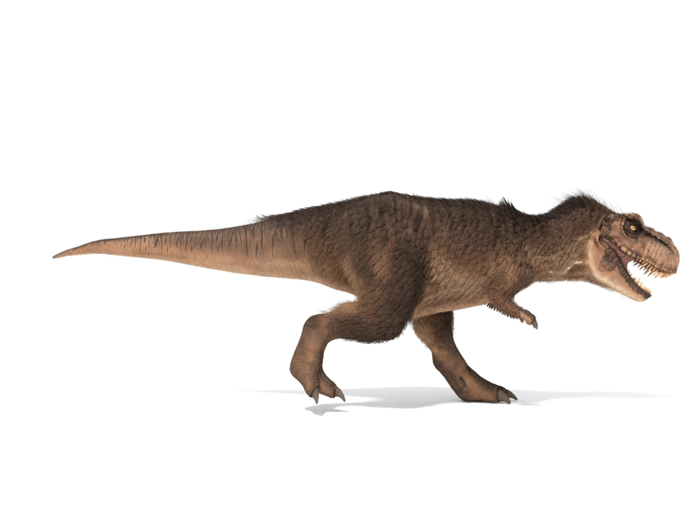 tyrannosaurus rex fur rigged model https://p.turbosquid.com/ts-thumb/79/3gFYam/wKj6GbFc/img/jpg/1591798625/1920x1080/turn_fit_q99/62e4b43649009917f1ecf0701dc9210b21e60f03/img-1.jpg