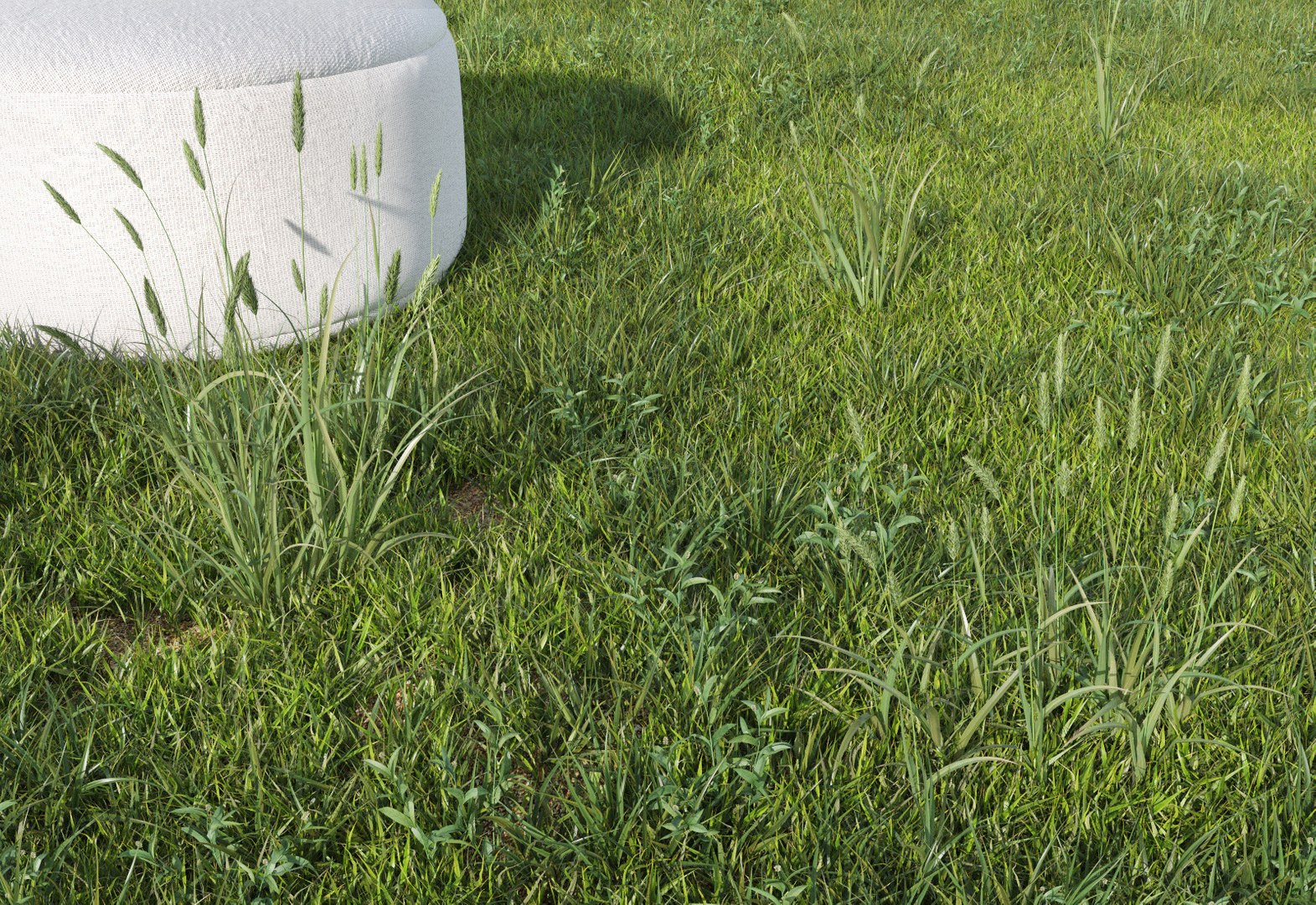 3d grass lawn https://p.turbosquid.com/ts-thumb/79/EKOuaN/9EniIJYD/grass4b1/jpg/1580279123/1920x1080/fit_q87/c007422629224cc55478eadabfca652855aeb254/grass4b1.jpg