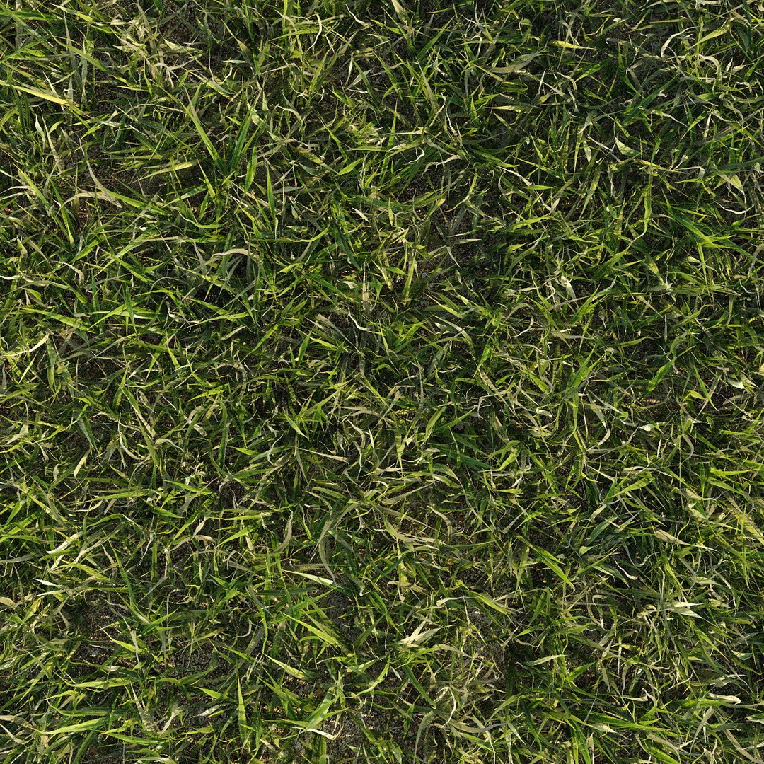 3d grass lawn https://p.turbosquid.com/ts-thumb/79/EKOuaN/F8fBor8K/grass7/jpg/1453102140/1920x1080/fit_q87/412fec03ceb561be91e09428e38bc2d8f8cce9fc/grass7.jpg