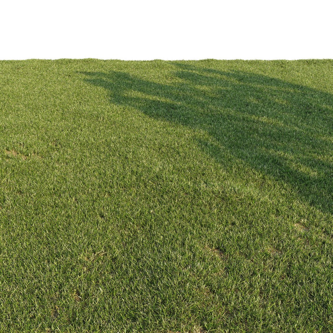 3d grass lawn https://p.turbosquid.com/ts-thumb/79/EKOuaN/K8SJVPLU/grass3/jpg/1453102120/1920x1080/fit_q87/6ab520db9c2cb7e6e59bab3abb3269251235b04e/grass3.jpg
