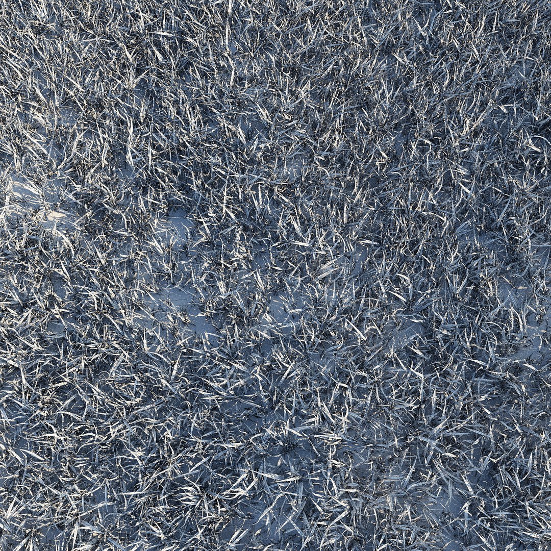 3d grass lawn https://p.turbosquid.com/ts-thumb/79/EKOuaN/PcueI24C/grass11/jpg/1453102535/1920x1080/fit_q87/40de406effd6f5ca2c9e8dba7368faa6786cb71d/grass11.jpg