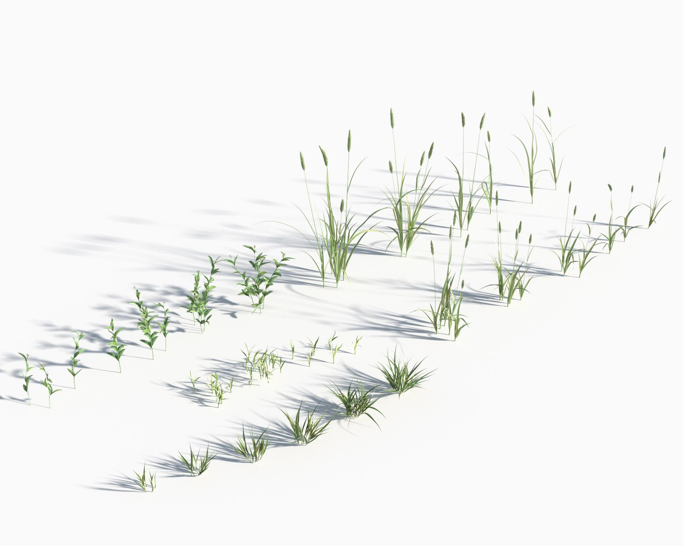 3d grass lawn https://p.turbosquid.com/ts-thumb/79/EKOuaN/TFIQMZVt/grass4b3bbb/jpg/1580278404/1920x1080/fit_q87/a632940d3cd31d02b9b22924a3c210068245f427/grass4b3bbb.jpg