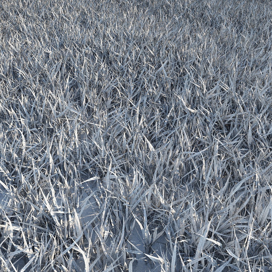 3d grass lawn https://p.turbosquid.com/ts-thumb/79/EKOuaN/ahwzL8zh/grass10/jpg/1453102512/1920x1080/fit_q87/fd44a7c1623bbd7ff16bb653a51ec1a6037dcb19/grass10.jpg