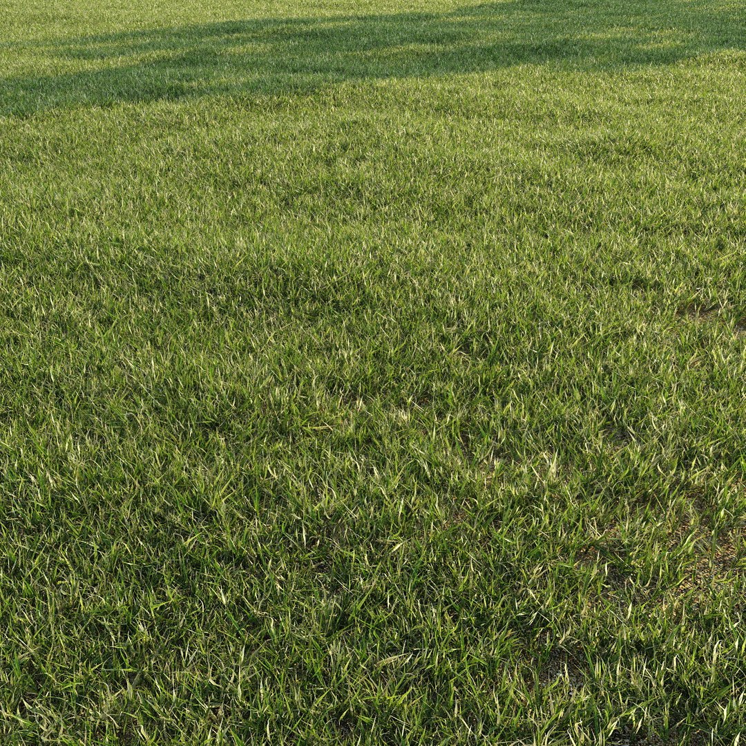 3d grass lawn https://p.turbosquid.com/ts-thumb/79/EKOuaN/k4JQPdwQ/grass4/jpg/1453102120/1920x1080/fit_q87/d5d9f97b815bd2a39a198987dad33c5c3d22c872/grass4.jpg