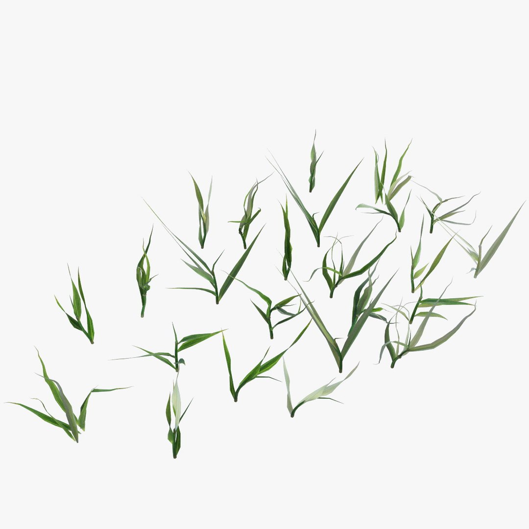3d grass lawn https://p.turbosquid.com/ts-thumb/79/EKOuaN/qBCIOaMX/grass15/jpg/1453102174/1920x1080/fit_q87/717541822e3a425a775609f46311ac711bc308d1/grass15.jpg