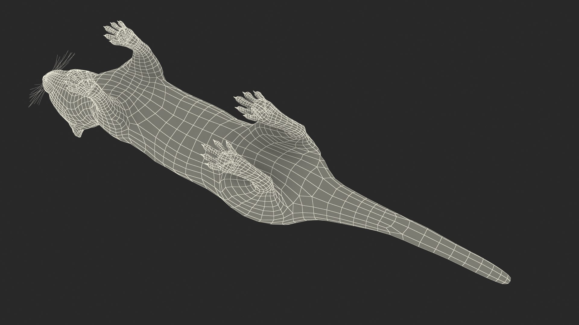 3D Ermine Mammal White Rigged for Cinema 4D model https://p.turbosquid.com/ts-thumb/79/Hibklx/AI/erminemammalwhiteriggedforcinema4d3dmodel041/jpg/1721265672/1920x1080/fit_q87/0e4dceaa697c7319698238f31fb465dd1b50f14e/erminemammalwhiteriggedforcinema4d3dmodel041.jpg