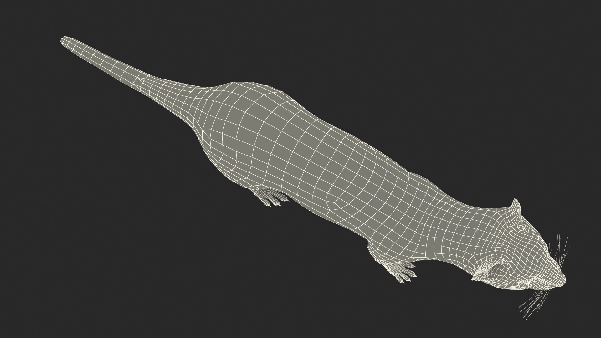 3D Ermine Mammal White Rigged for Cinema 4D model https://p.turbosquid.com/ts-thumb/79/Hibklx/Iq/erminemammalwhiteriggedforcinema4d3dmodel040/jpg/1721265668/1920x1080/fit_q87/78750f28c8ff192757520a94999f682f4af33d61/erminemammalwhiteriggedforcinema4d3dmodel040.jpg