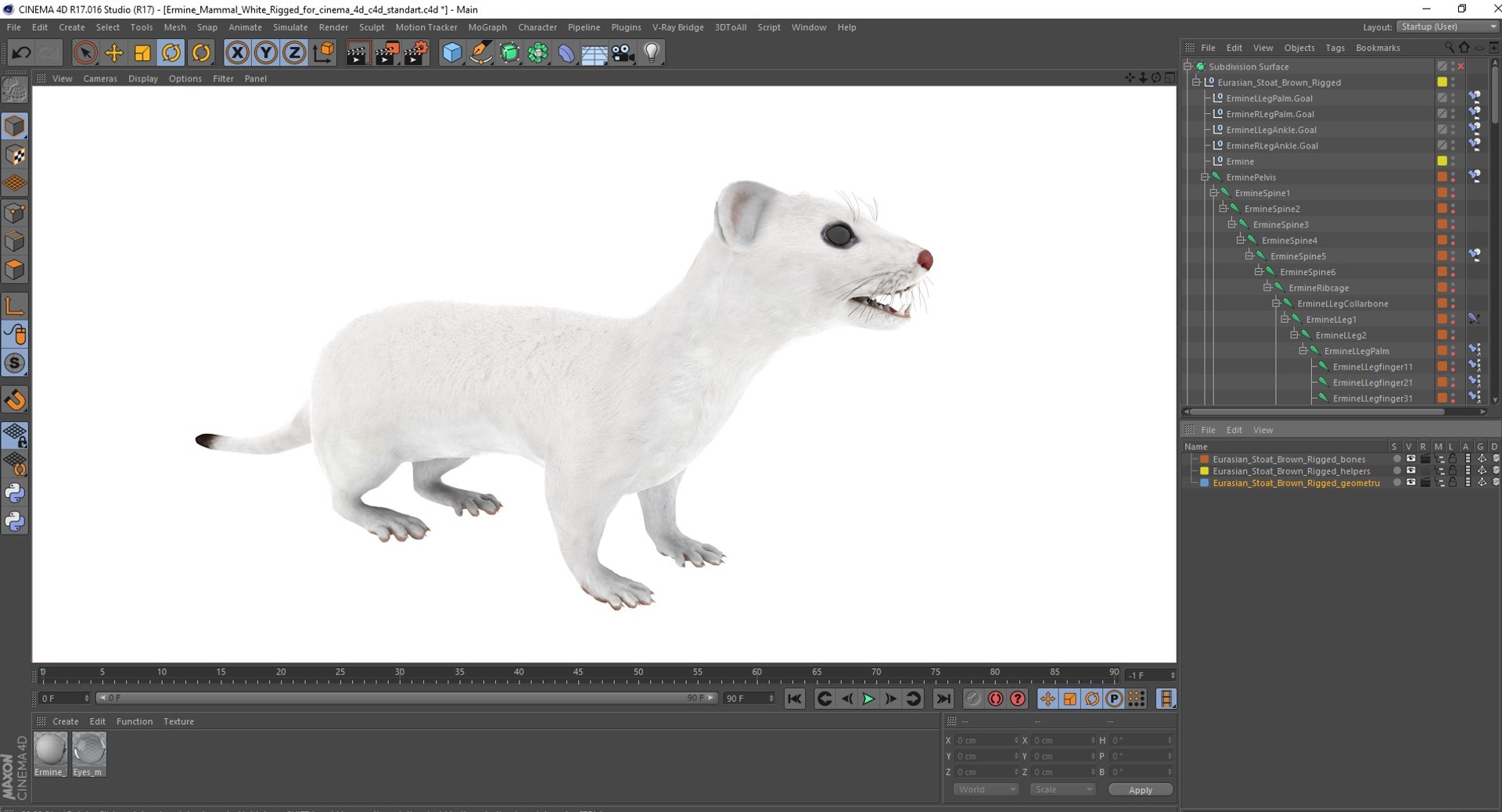 3D Ermine Mammal White Rigged for Cinema 4D model https://p.turbosquid.com/ts-thumb/79/Hibklx/Ww/erminemammalwhiteriggedforcinema4d3dmodel046/jpg/1721265689/1920x1080/fit_q87/4923fed0b7f557550d2b8cff55c0ca97c9ad2073/erminemammalwhiteriggedforcinema4d3dmodel046.jpg