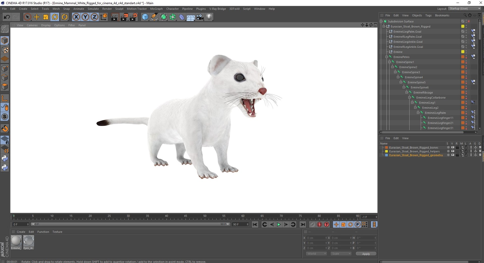 3D Ermine Mammal White Rigged for Cinema 4D model https://p.turbosquid.com/ts-thumb/79/Hibklx/Yf/erminemammalwhiteriggedforcinema4d3dmodel049/jpg/1721265698/1920x1080/fit_q87/f79593aa8d94af94859bcc5085a36048fc0a4df7/erminemammalwhiteriggedforcinema4d3dmodel049.jpg