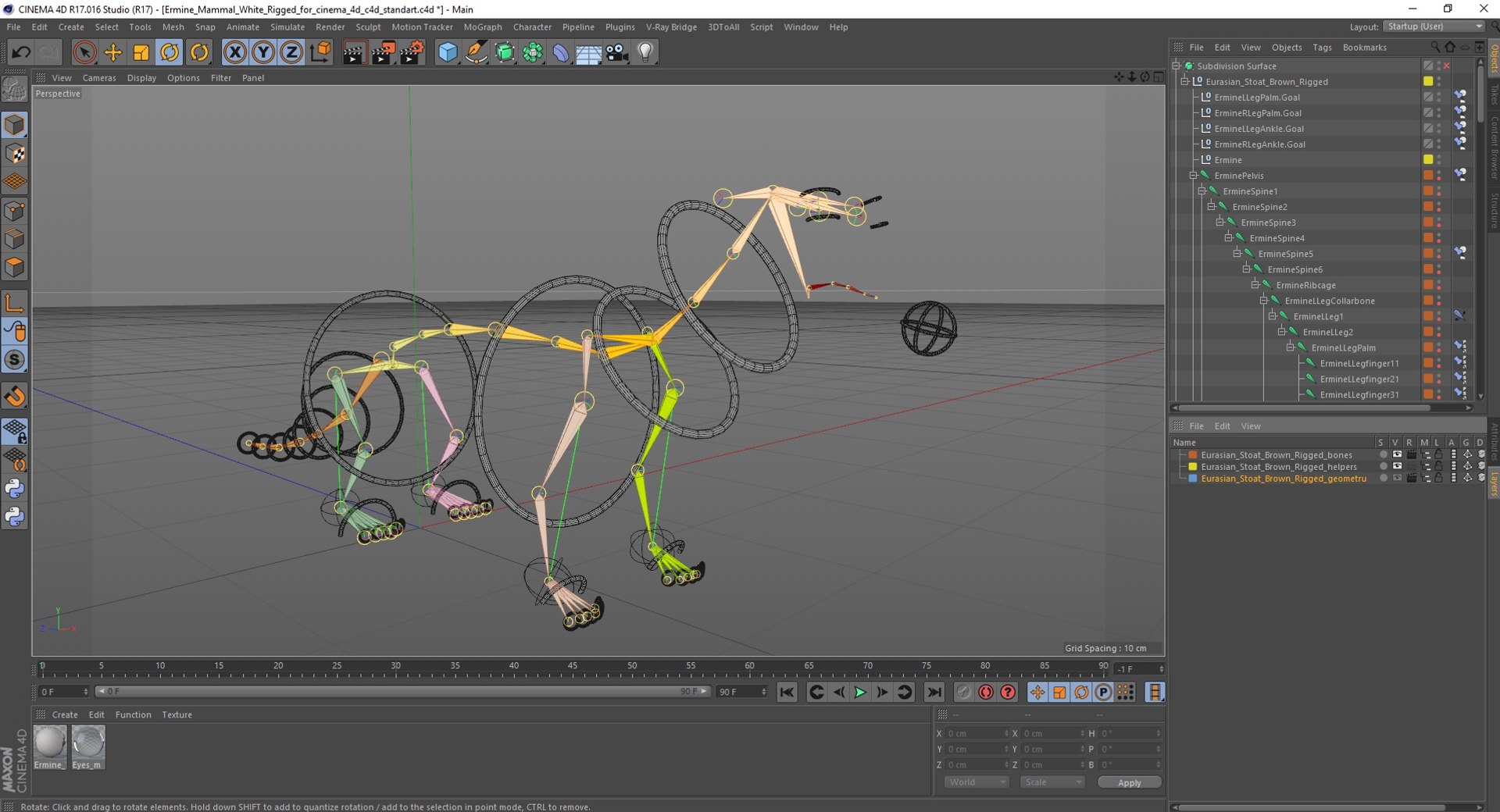 3D Ermine Mammal White Rigged for Cinema 4D model https://p.turbosquid.com/ts-thumb/79/Hibklx/sx/erminemammalwhiteriggedforcinema4d3dmodel048/jpg/1721265695/1920x1080/fit_q87/ed9cf9647ddc3a095f8f7bc47edc1730da237c45/erminemammalwhiteriggedforcinema4d3dmodel048.jpg
