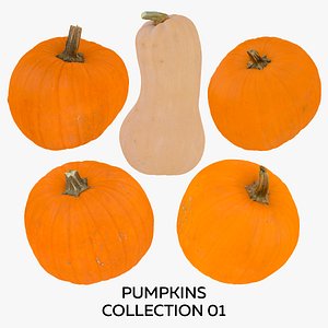 3D Pumpkins Collection 01 - 5 models RAW Scans model
