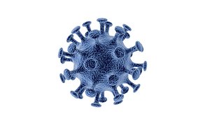 Corona virus 3D model