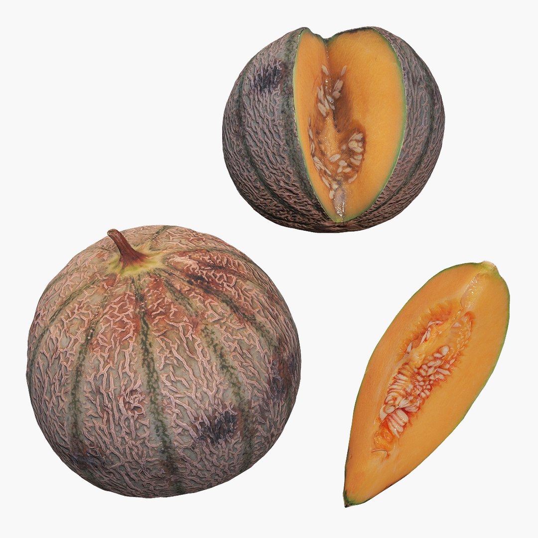 3D MelonGreen model https://p.turbosquid.com/ts-thumb/7A/CDQWig/Tr/melon_green_01/png/1641048237/1920x1080/fit_q87/8fe498fce9eea03437b9908b0b7722740c1e6375/melon_green_01.jpg