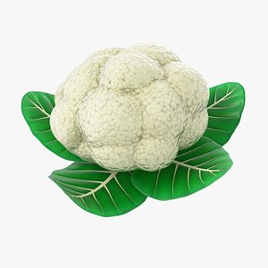 Cartoon Cauliflower 3D