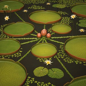 Water Plants and Flowers 3D model