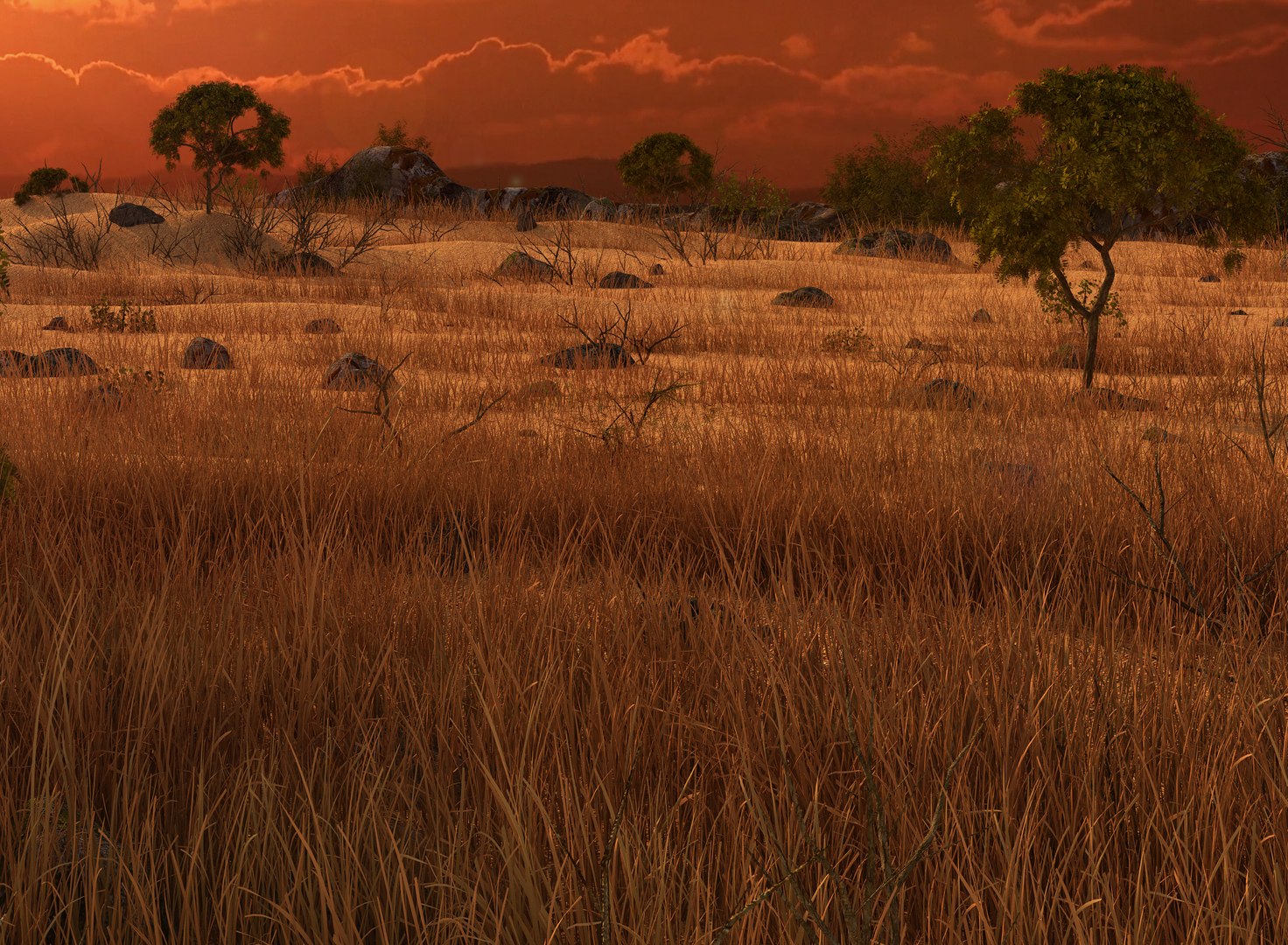 savannah savanna model https://p.turbosquid.com/ts-thumb/7A/IR0Qp5/C4VRIJsh/sunset7/jpg/1586800997/1920x1080/fit_q87/49849d9ecacf87368e8b364d9bfa094e18a3c467/sunset7.jpg