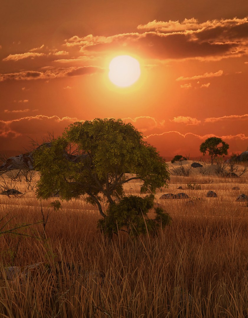 savannah savanna model https://p.turbosquid.com/ts-thumb/7A/IR0Qp5/HiBazJTN/sunset3/jpg/1586800997/1920x1080/fit_q87/7afb7844dfababf436300ebb2e2a99b1c06e824e/sunset3.jpg