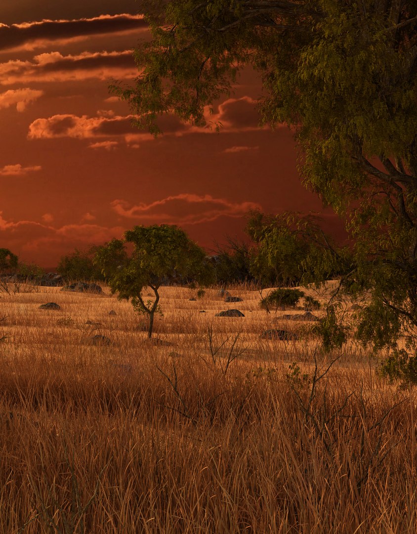 savannah savanna model https://p.turbosquid.com/ts-thumb/7A/IR0Qp5/X5TdXyvH/sunset2/jpg/1586800997/1920x1080/fit_q87/a2c1d035e91046ab4d37bfeef292e54084520e8c/sunset2.jpg