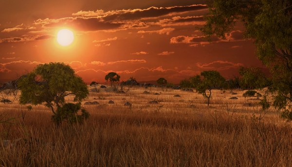 Sunset Savannah Modelo 3D - TurboSquid 1541297