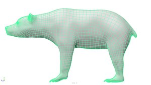 3D bear uv unwrapped model