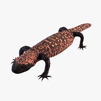 Gila monster