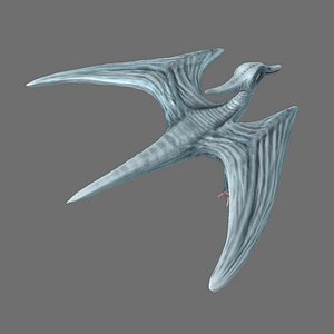 periodontics bird dinosaur 3ds