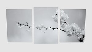 Sakura Wallpaper Decoration
