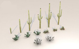 desert plant 3D model