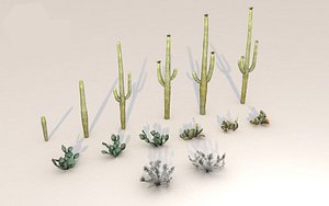 Desert plant collection lowpoly