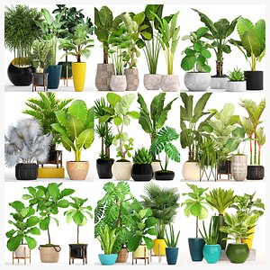 collection of plants 40 pieces A 3D model