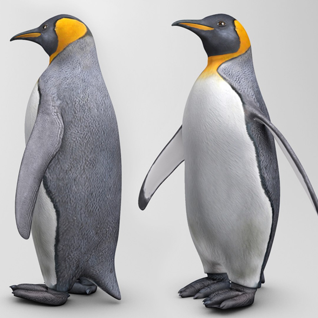 Пингвин 3 6. Пингвин модель. Пингвин 3д модель. Пингвин модельки. 3d model Пингвин.