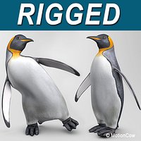 Penguin