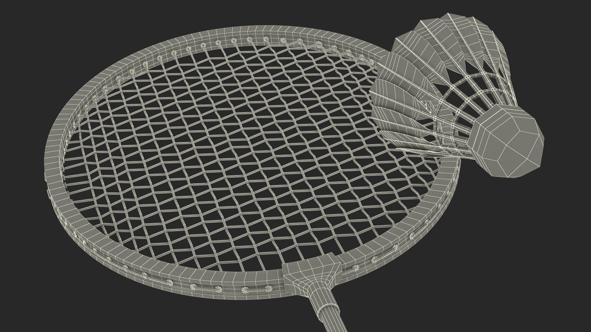 3D Professional Carbon Fiber Badminton Racket and Feather Shuttlecock ...